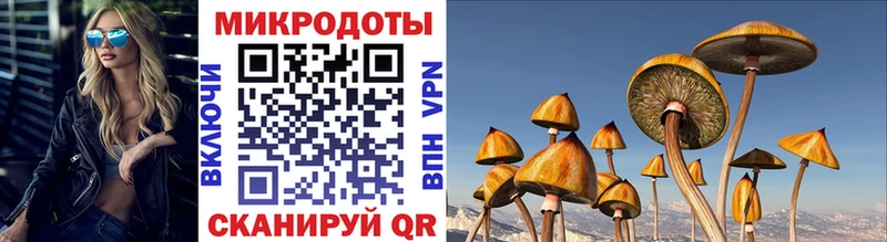 Галлюциногенные грибы мухоморы  Казань 