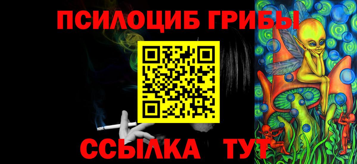 Псилоцибиновые грибы GOLDEN TEACHER Казань