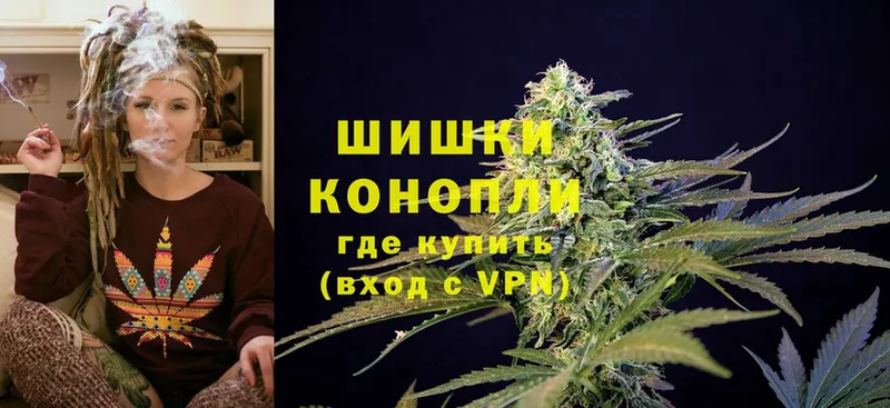 Бошки марихуана THC 21%  купить наркотики сайты  Казань 